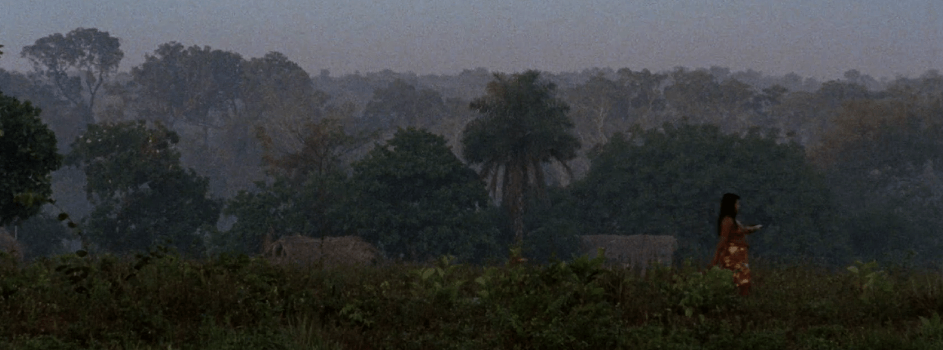 Chuva é cantoria na aldeia dos mortos